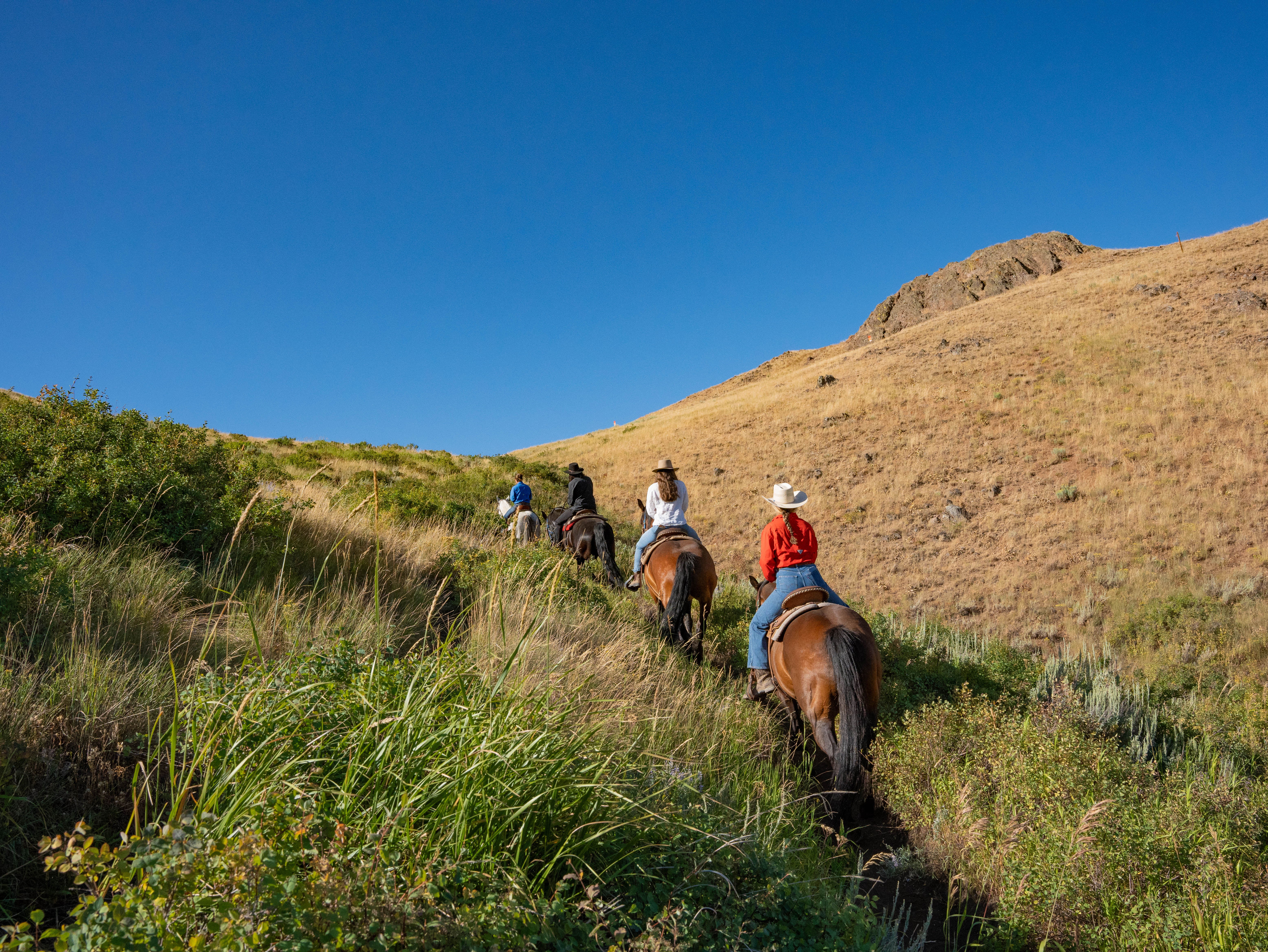 svr_dollar_horsebackriding